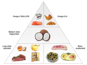 fatpyramid