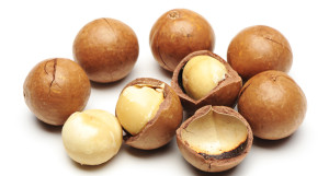 Macadamia-Nuts-Main